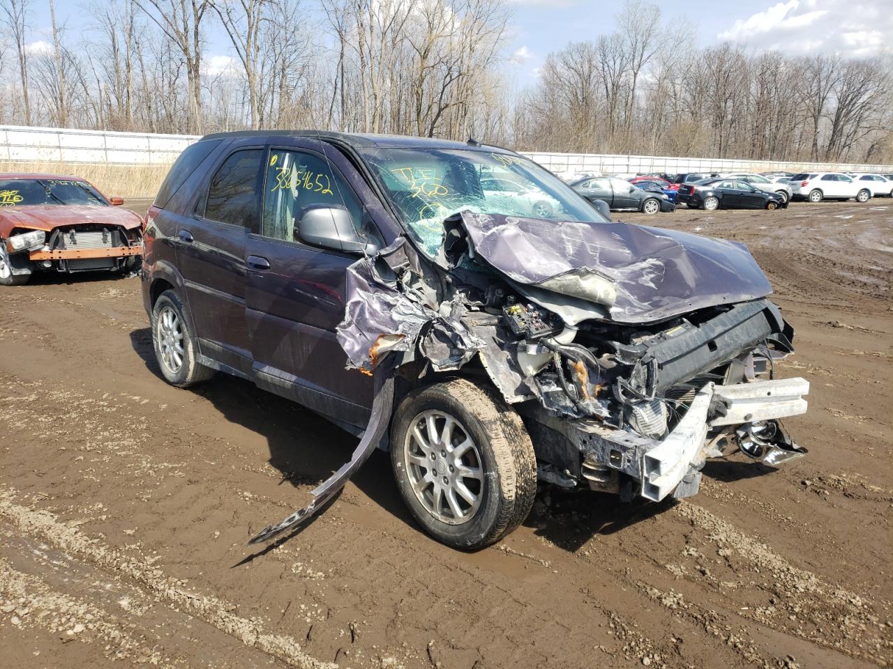 BUICK RENDEZVOUS 2007 with VIN 3G5DA03L67S549507 - Photo from auction