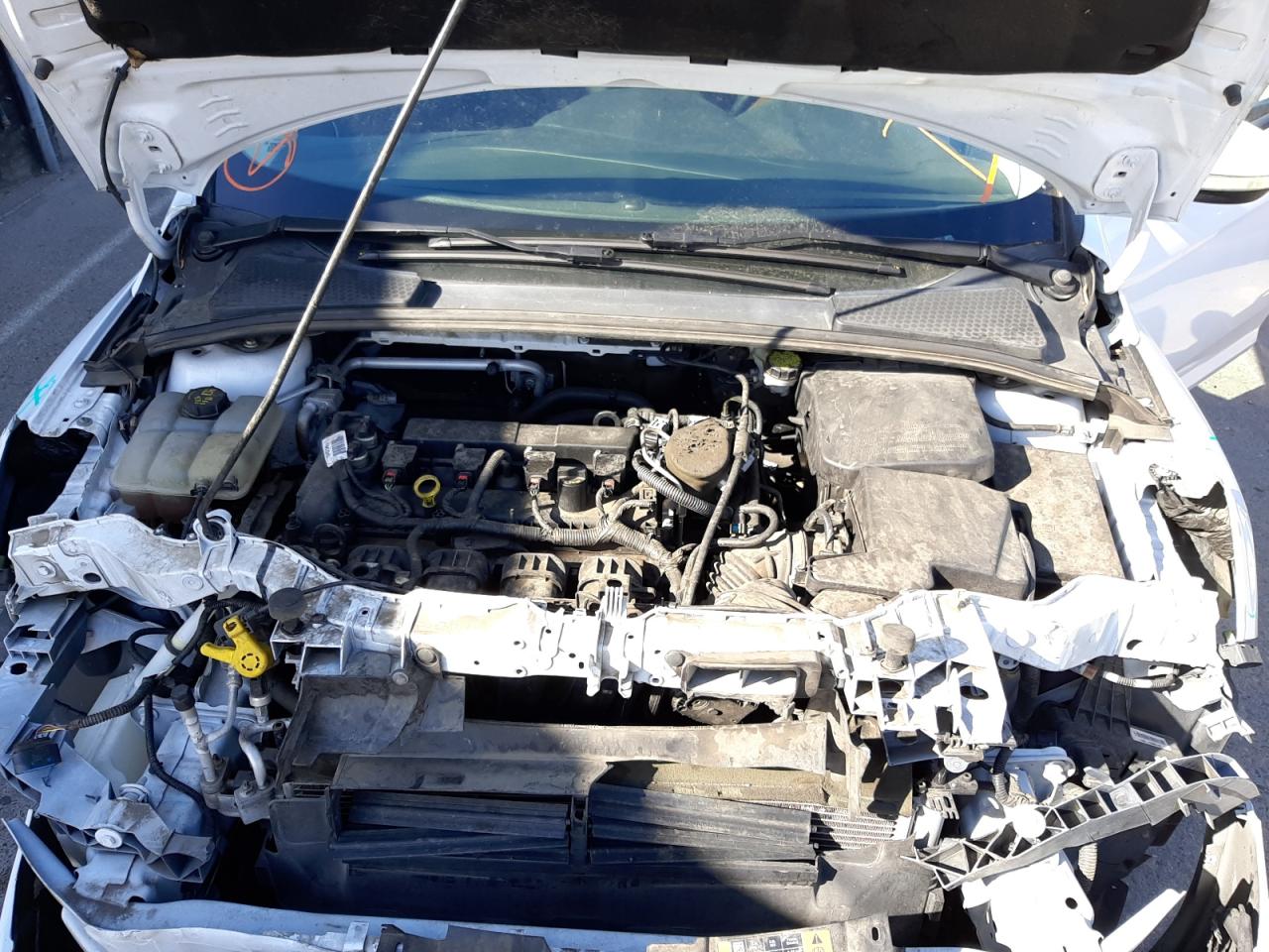 Photo 7 from auction – 2015 FORD FOCUS SE with VIN 1FADP3K20FL221771