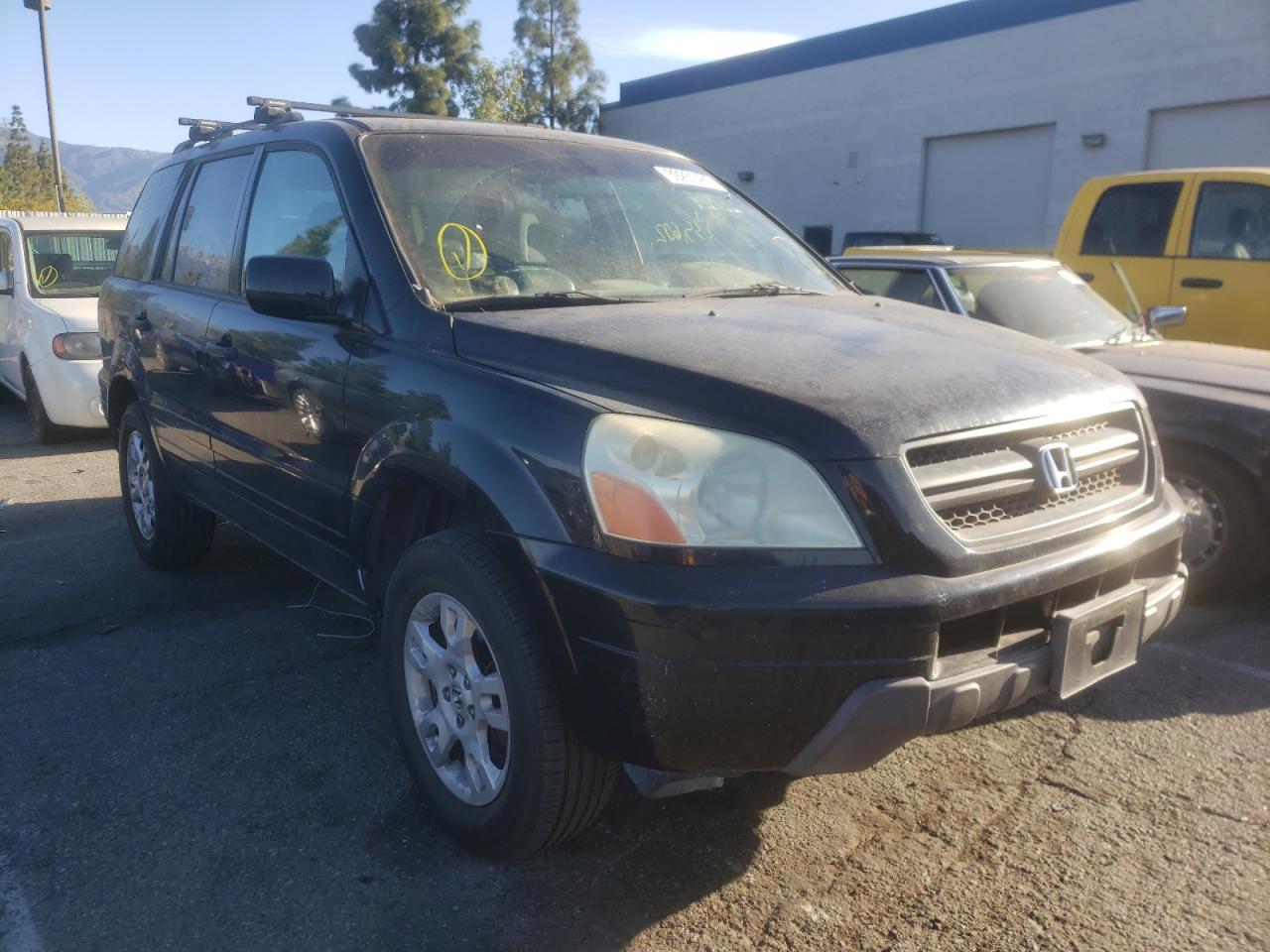 HONDA PILOT EX 2005 with VIN 2HKYF18405H551327 - Photo from auction