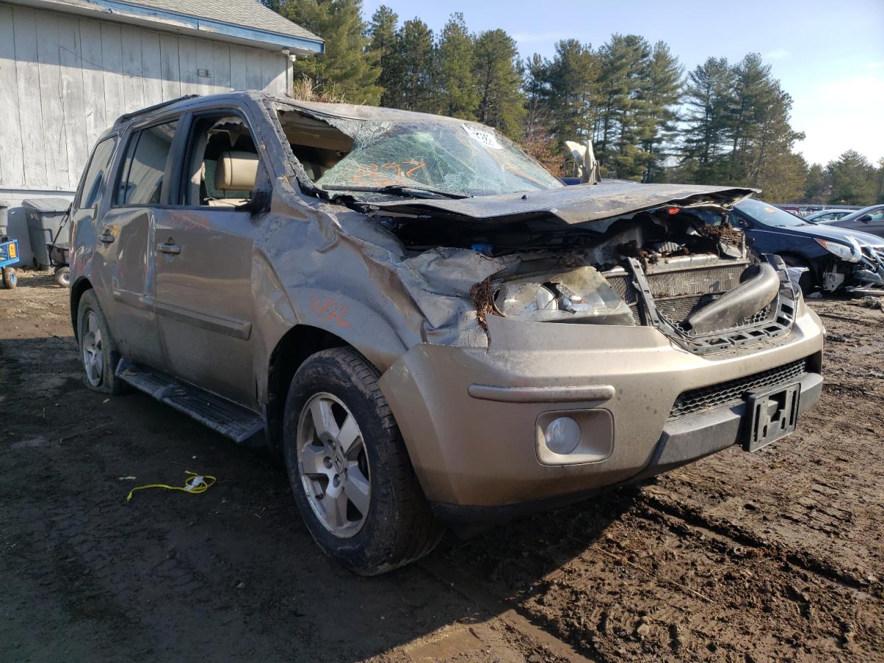 HONDA PILOT EXL 2011 with VIN 5FNYF4H54BB063504 - Photo from auction
