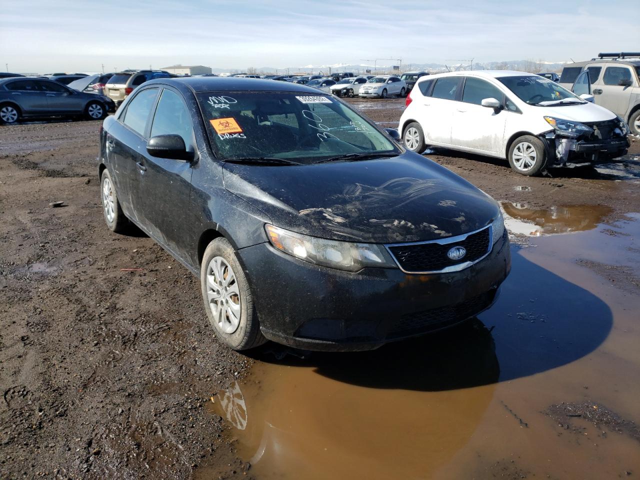 KIA FORTE EX 2013 with VIN KNAFU4A23D5738029 - Photo from auction