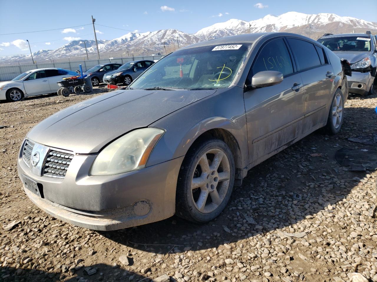 Photo 2 from auction – 2006 NISSAN MAXIMA with VIN 1N4BA41EX6C832319