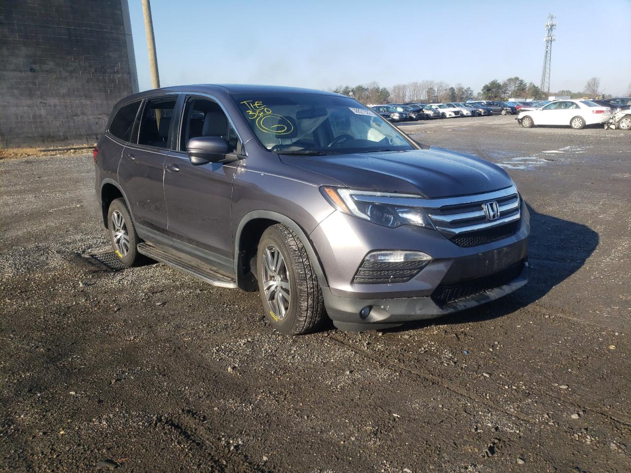 HONDA PILOT EXL 2017 with VIN 5FNYF6H59HB043480 - Photo from auction