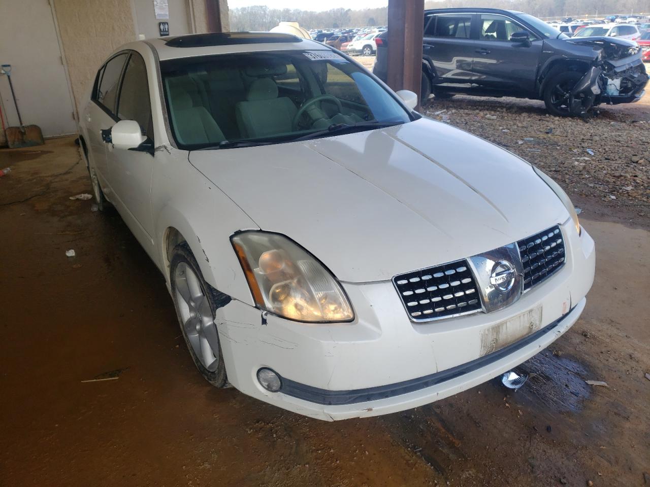 NISSAN MAXIMA SE 2005 with VIN 1N4BA41E65C824913 - Photo from auction