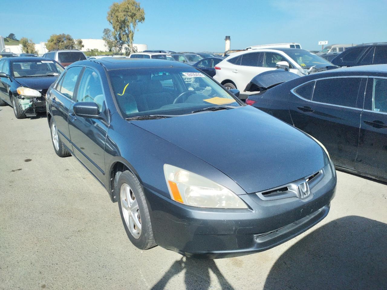 HONDA ACCORD 2004 with VIN 1HGCM557X4A129336 - Photo from auction