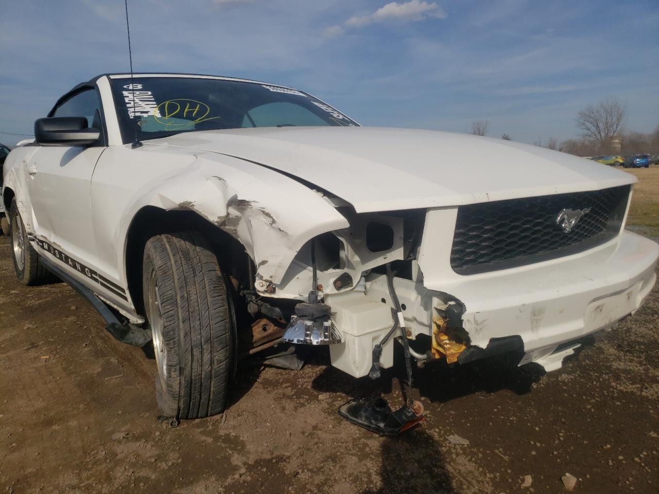 Photo 9 from auction – 2005 FORD MUSTANG with VIN 1ZVFT84N455231707