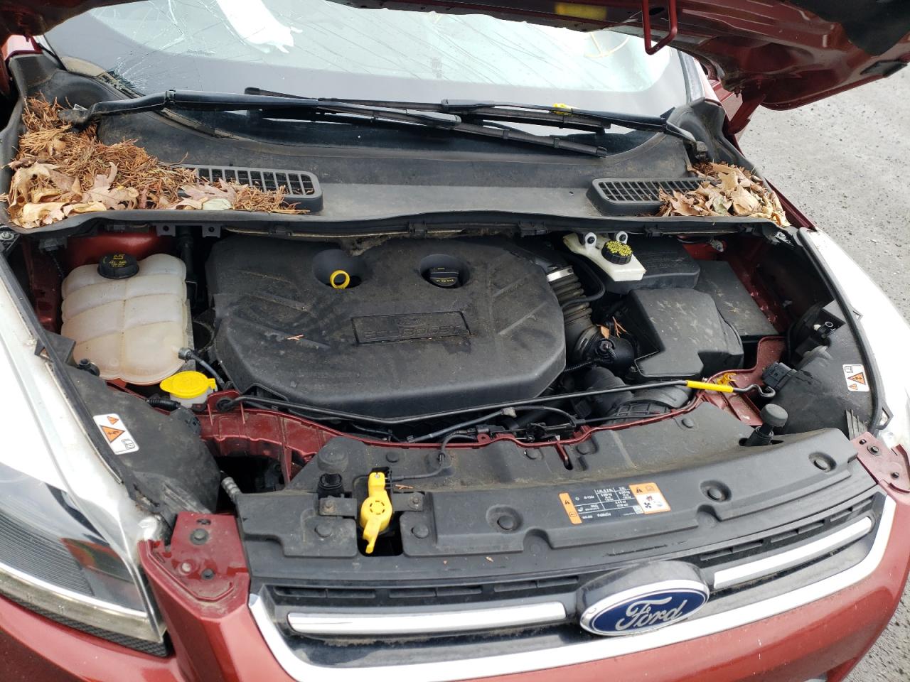Photo 7 from auction – 2014 FORD ESCAPE TIT with VIN 1FMCU9J90EUE57695