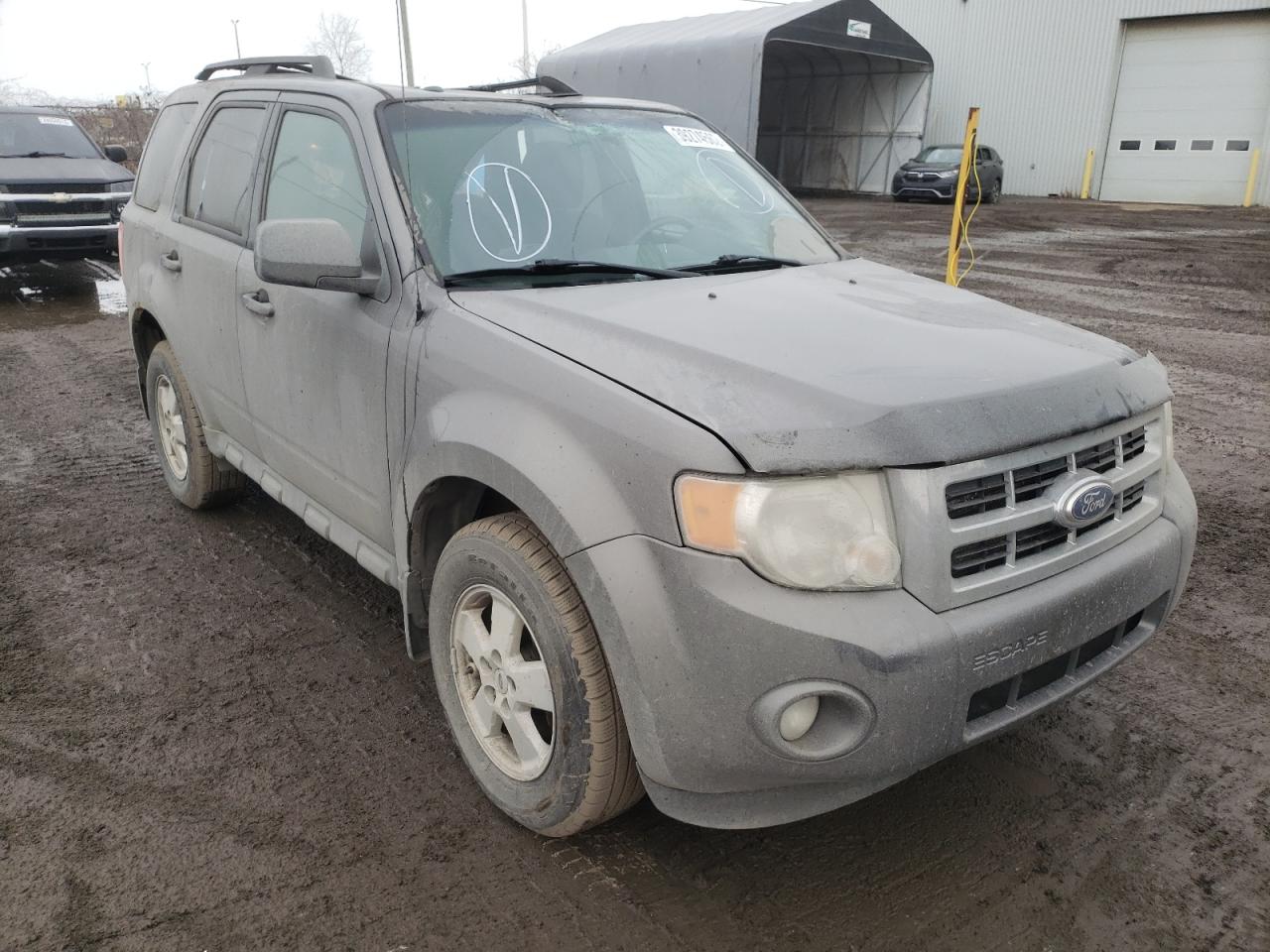 FORD ESCAPE XLT 2011 with VIN 1FMCU0DG3BKB87004 - Photo from auction