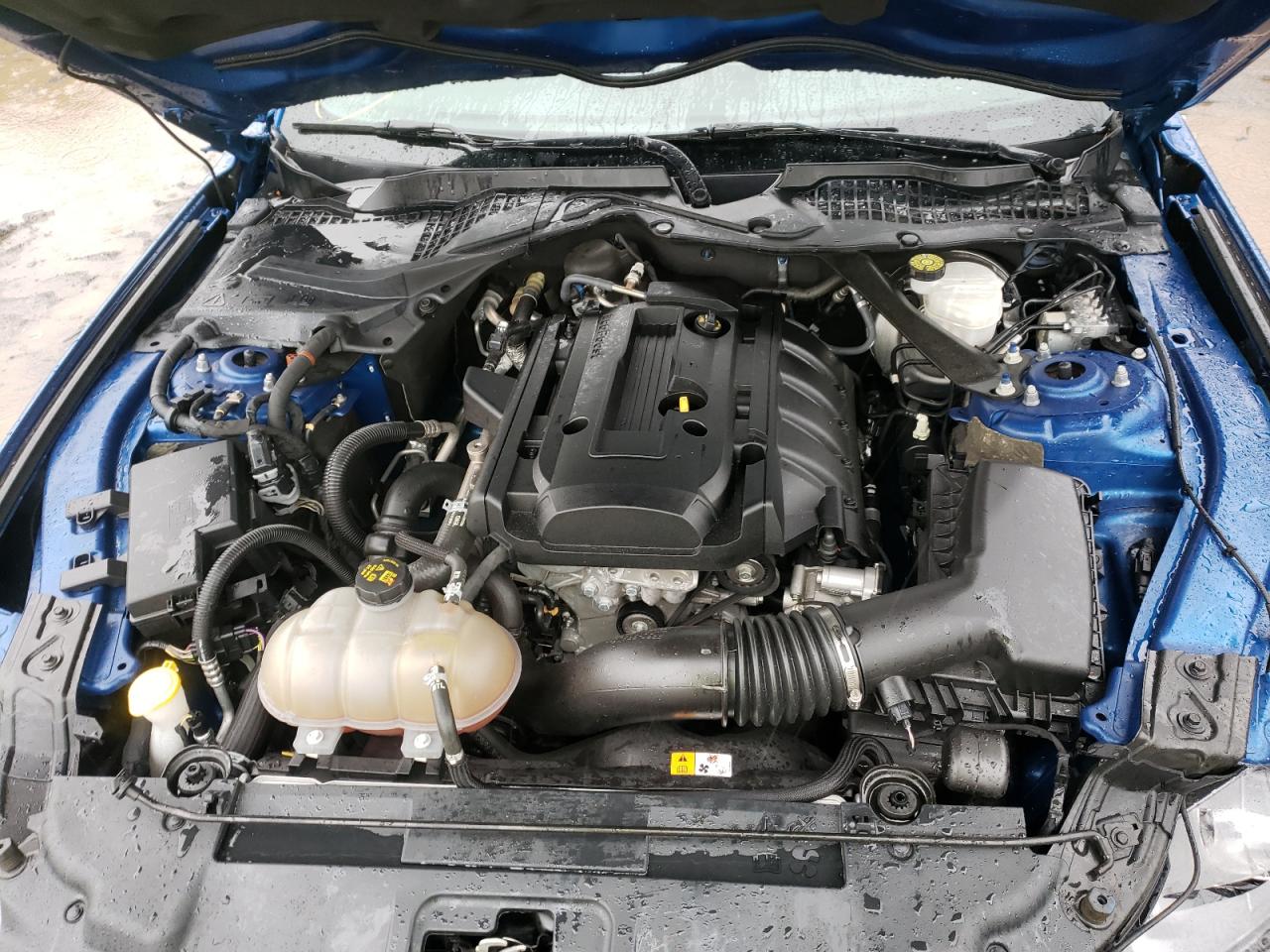Photo 7 from auction – 2018 FORD MUSTANG with VIN 1FATP8UH1J5143556