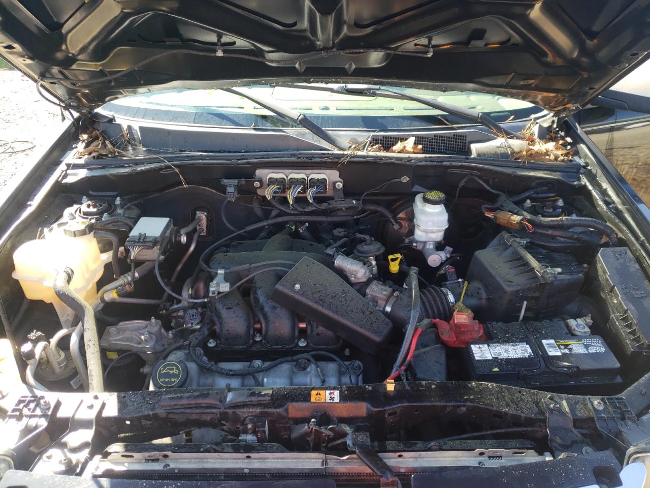 Photo 7 from auction – 2008 FORD ESCAPE XLT with VIN 1FMCU03118KE30024