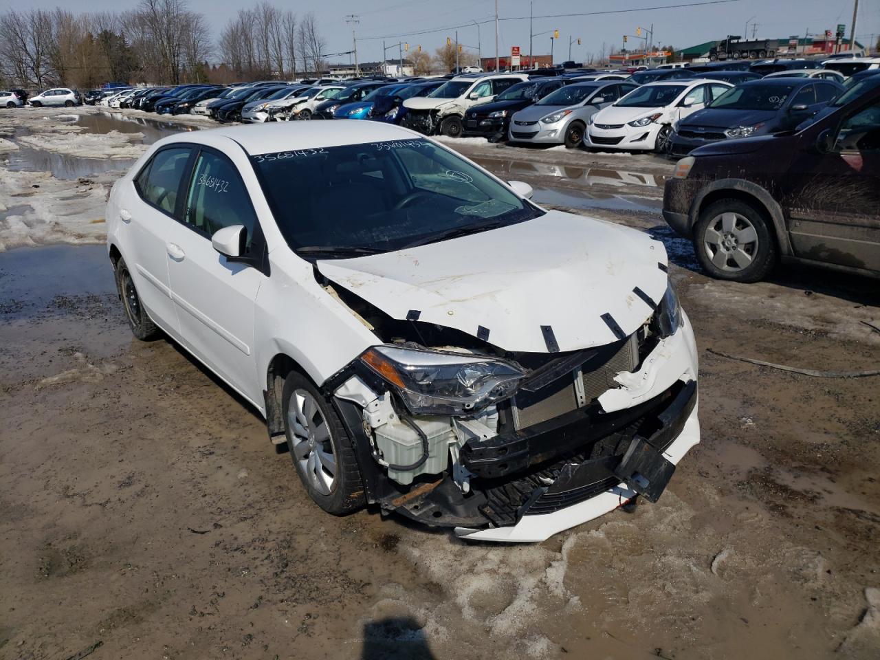 TOYOTA COROLLA L 2015 with VIN 2T1BURHE1FC272413 - Photo from auction