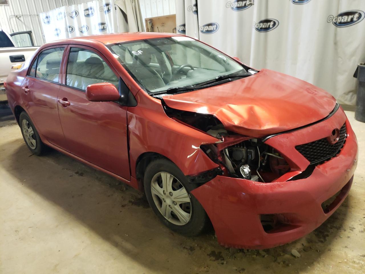 TOYOTA COROLLA BA 2009 with VIN JTDBL40E799039910 - Photo from auction