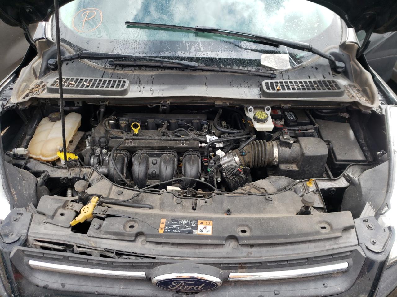 Photo 7 from auction – 2016 FORD ESCAPE SE with VIN 1FMCU0G74GUA67266
