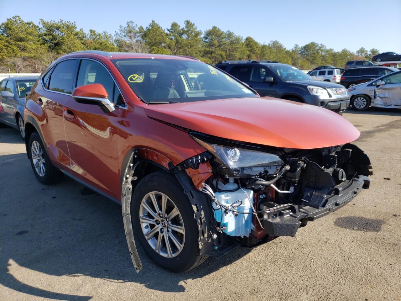 Photo 1 from auction – 2021 LEXUS NX 300 BAS with VIN JTJDARDZ0M2254701