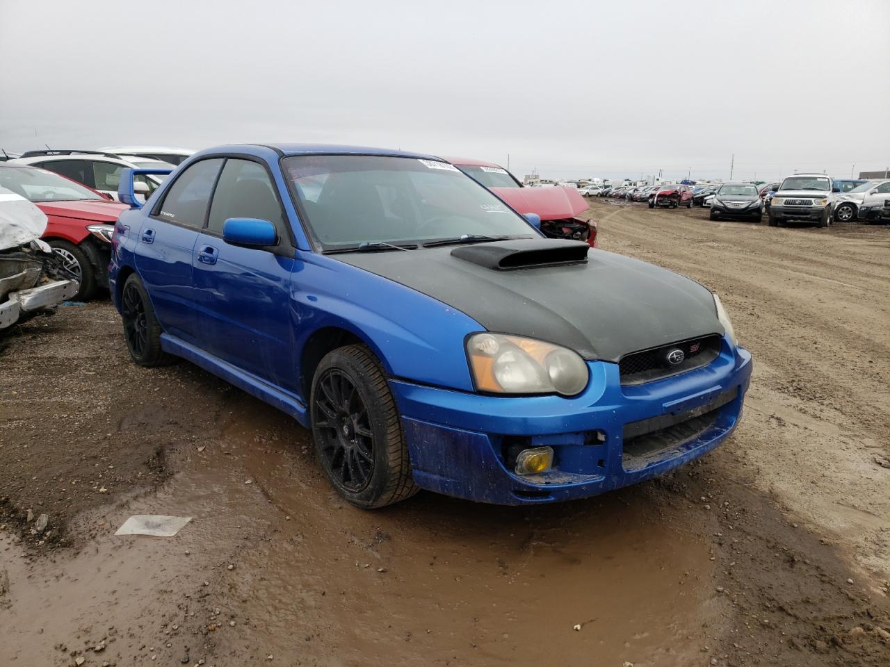 SUBARU IMPREZA WR 2005 with VIN JF1GD29655G517675 - Photo from auction