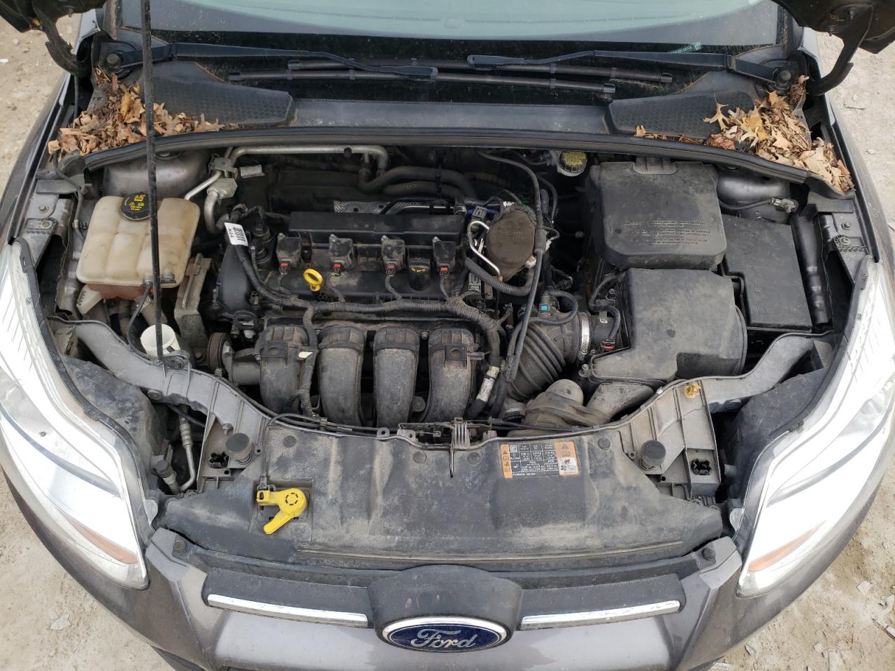 Фото 7 с аукциона – 2014 FORD FOCUS SE с VIN 1FADP3F29EL431178