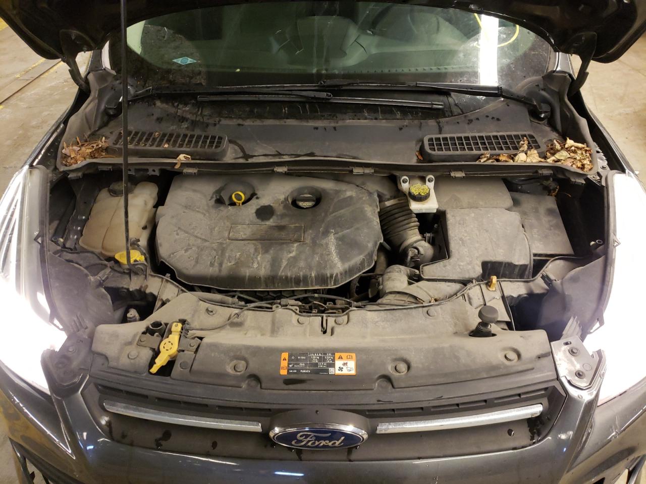 Photo 7 from auction – 2015 FORD ESCAPE SE with VIN 1FMCU0G97FUC36776