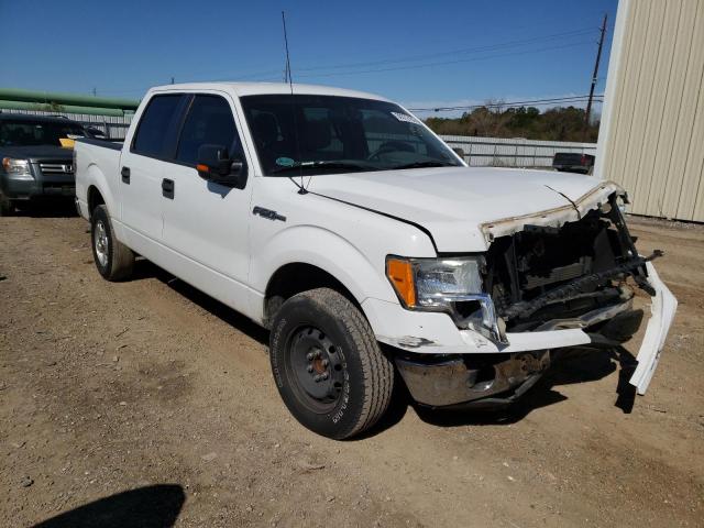 FORD F150 SUPER 2010 with VIN 1FTEW1C89AFD91000 - Photo from auction