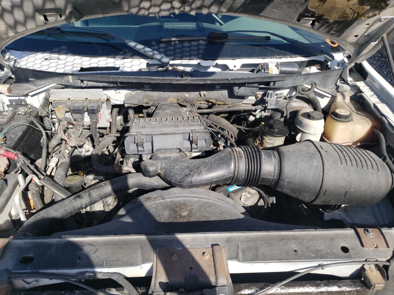 Photo 7 from auction – 2004 FORD F150 SUPER with VIN 1FTPW14534KC80581
