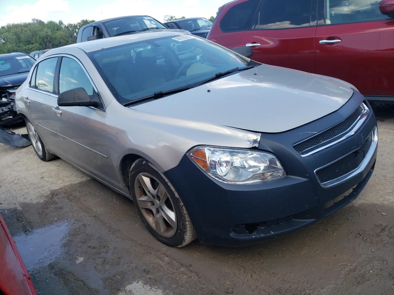 CHEVROLET MALIBU LS 2012 with VIN 1G1ZB5E04CF168158 - Photo from auction