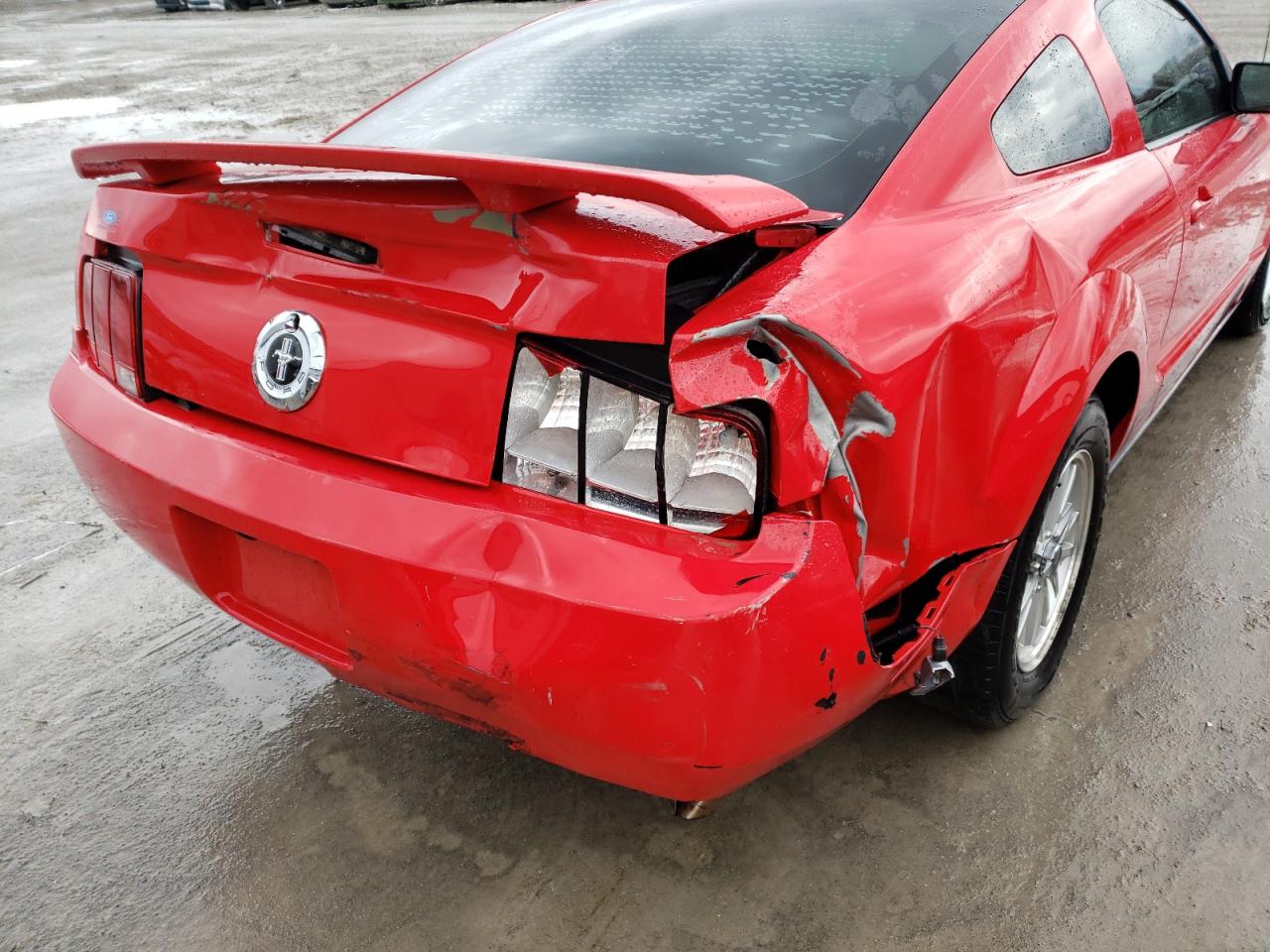 Photo 9 from auction – 2006 FORD MUSTANG with VIN 1ZVFT80N565207083