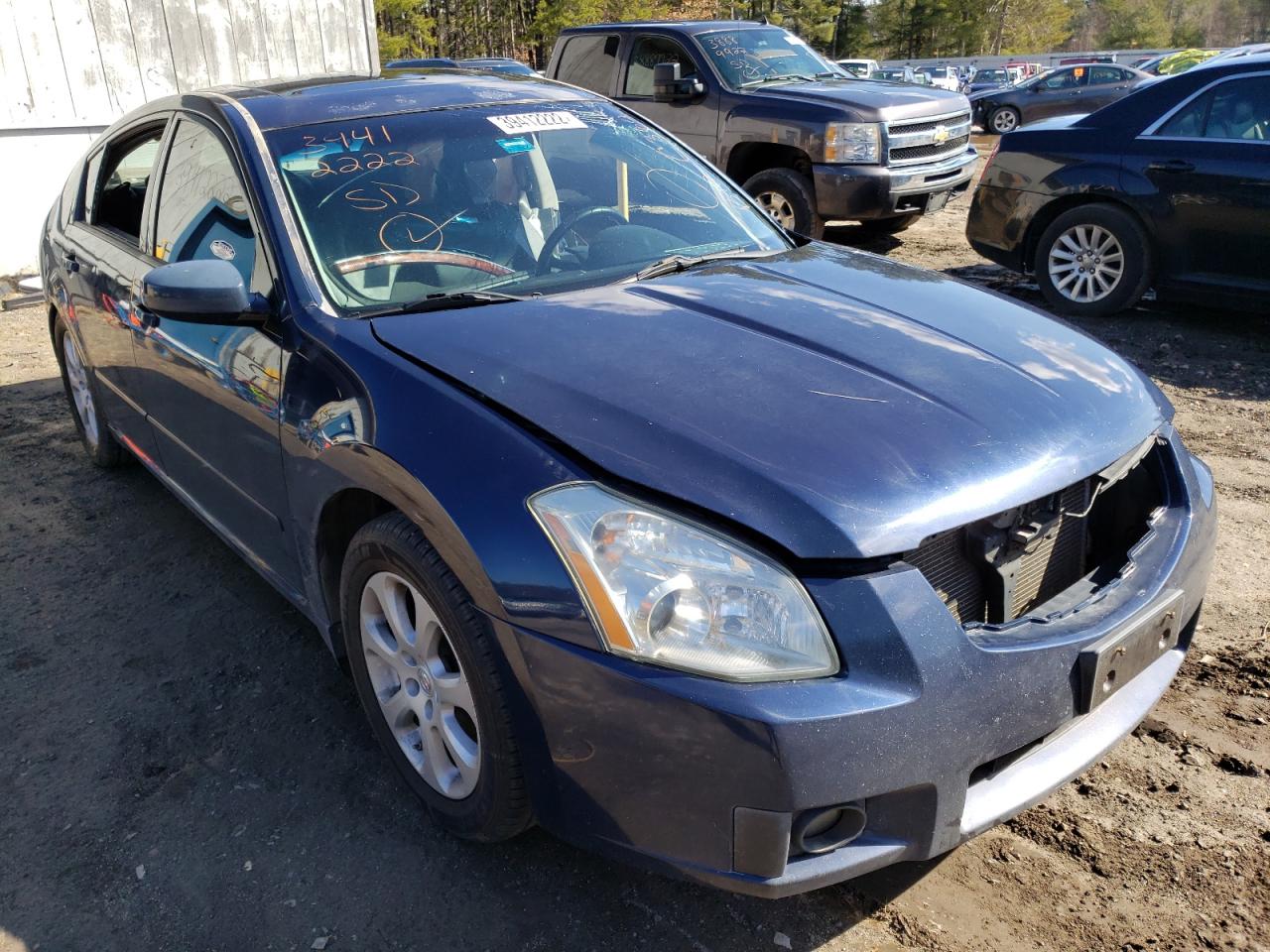 NISSAN MAXIMA SE 2007 with VIN 1N4BA41E37C819915 - Photo from auction