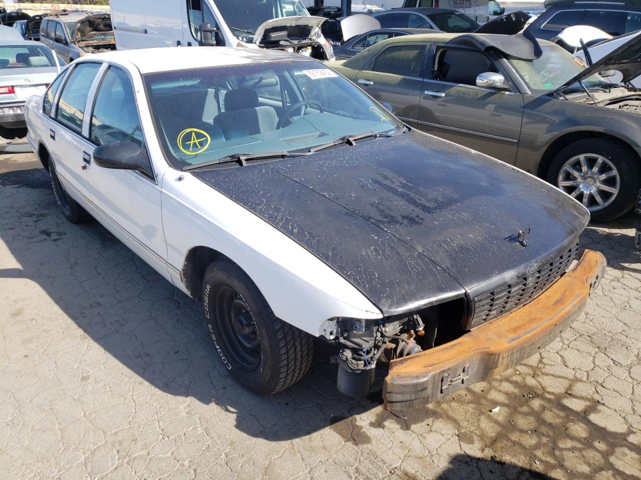 CHEVROLET CAPRICE CL 1996 with VIN 1G1BL52W6TR120022 - Photo from auction