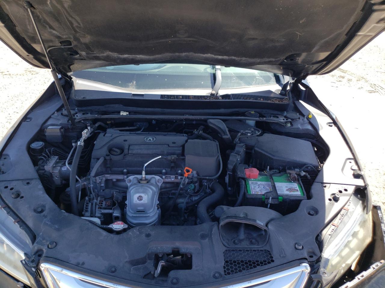 Photo 7 from auction – 2016 ACURA TLX TECH with VIN 19UUB1F59GA012092