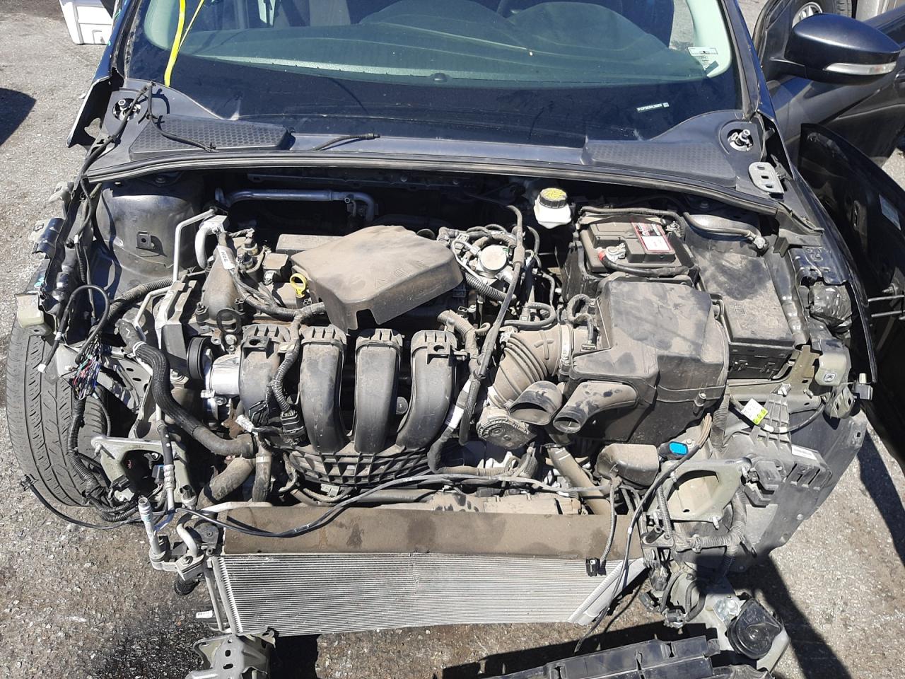 Photo 7 from auction – 2017 FORD FOCUS SEL with VIN 1FADP3M26HL303939