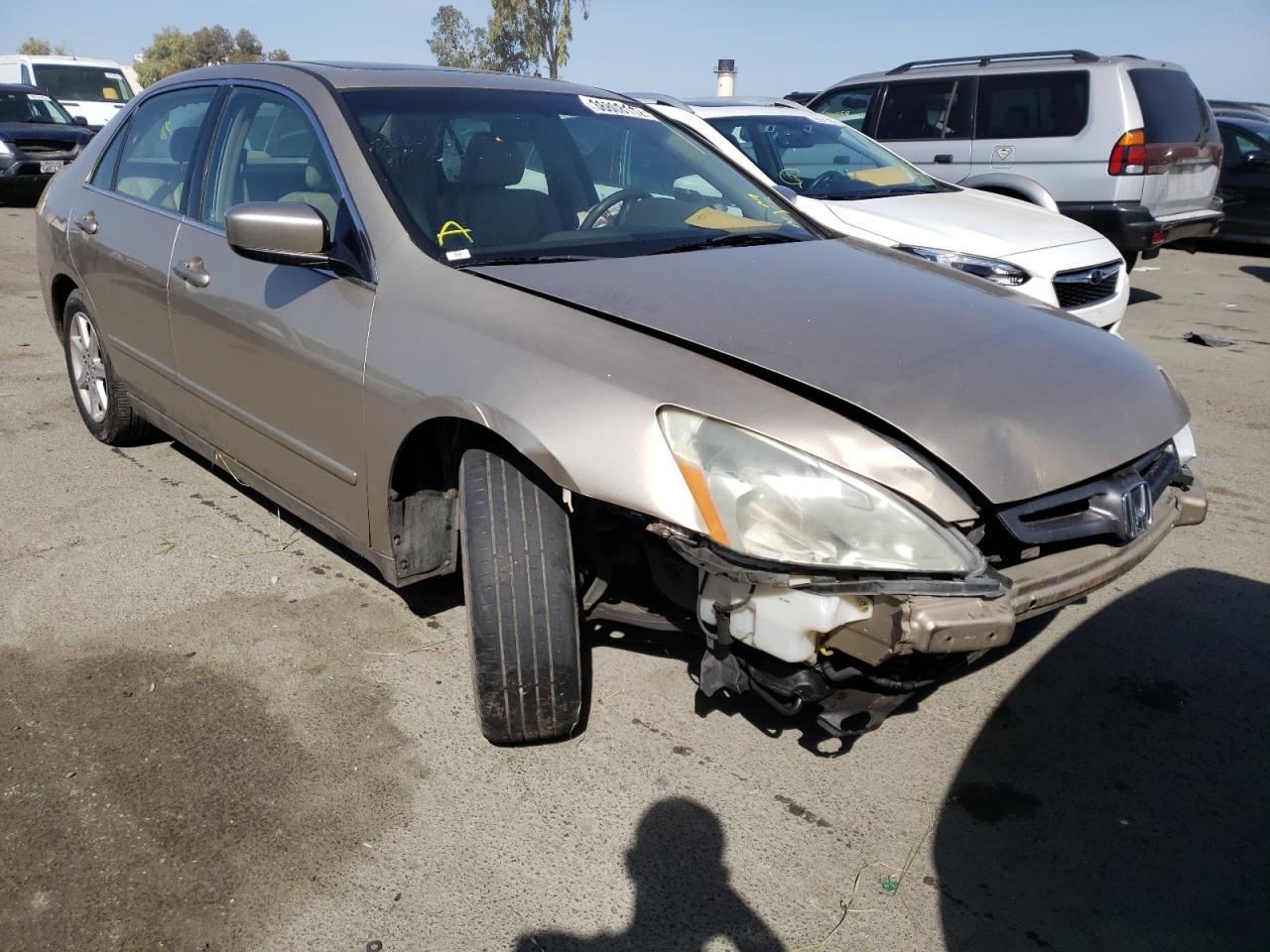 HONDA ACCORD EX 2004 with VIN 1HGCM66834A040348 - Photo from auction