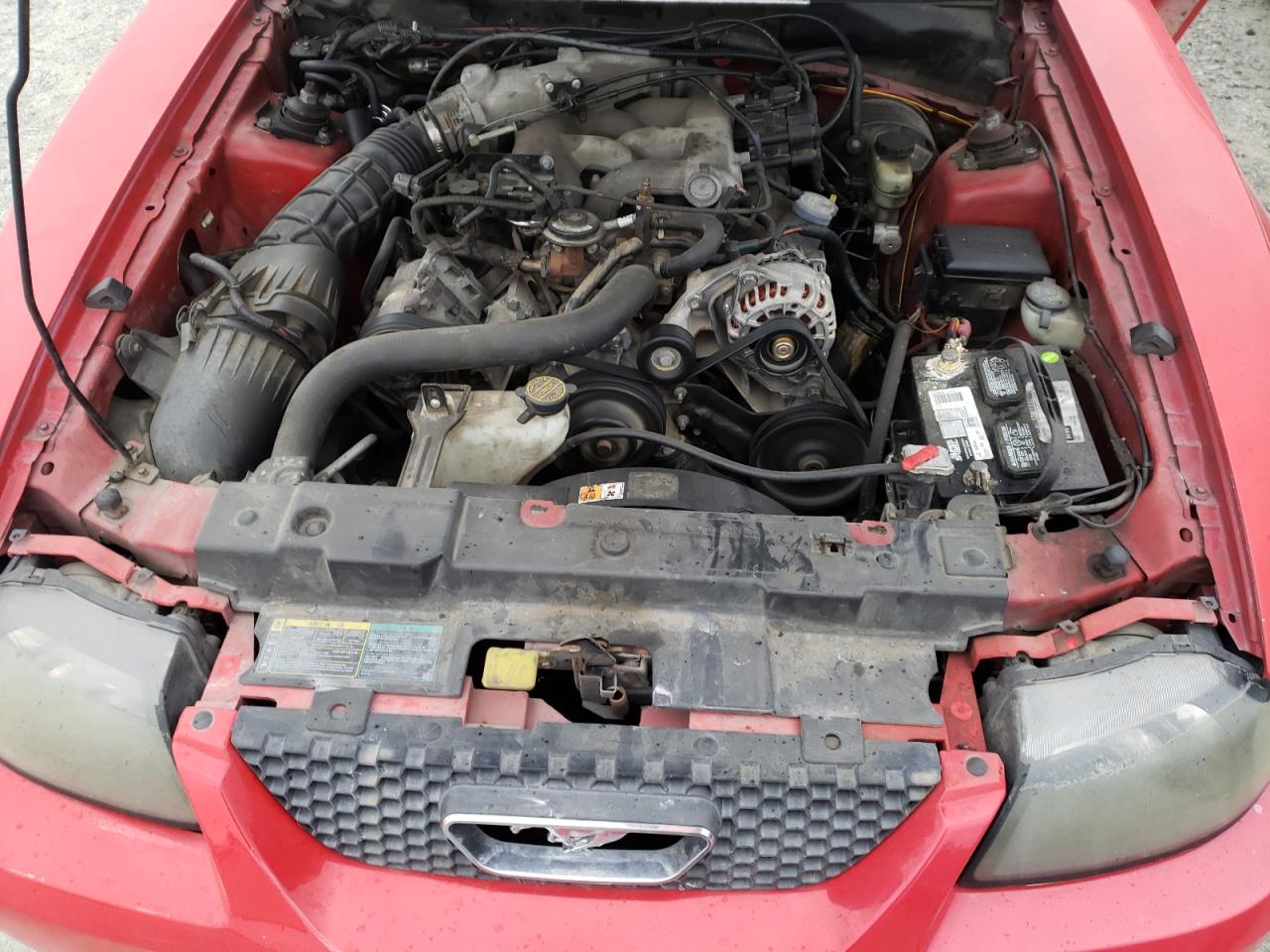 Photo 7 from auction – 2003 FORD MUSTANG with VIN 1FAFP40443F426636
