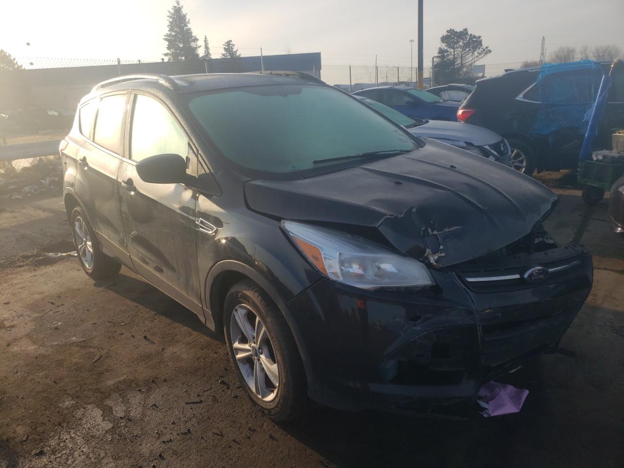 Photo 1 from auction – 2014 FORD ESCAPE SE with VIN 1FMCU0GXXEUC74841