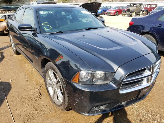 DODGE CHARGER R/ 2014 with VIN 2C3CDXDT8EH272219 - Photo from auction
