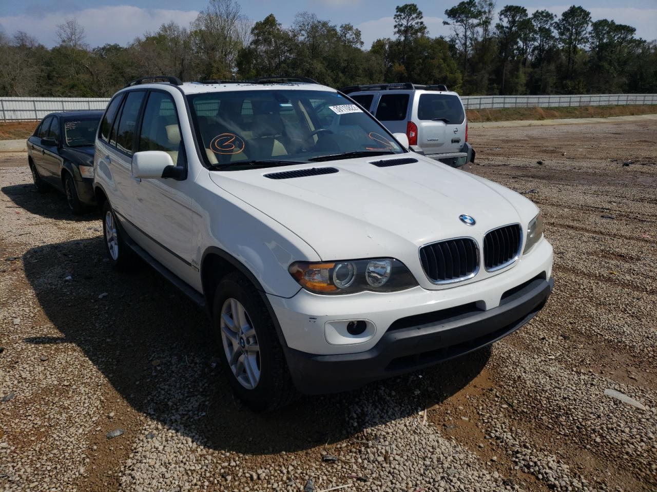 BMW X5 3.0I 2005 with VIN 5UXFA13515LY13422 - Photo from auction