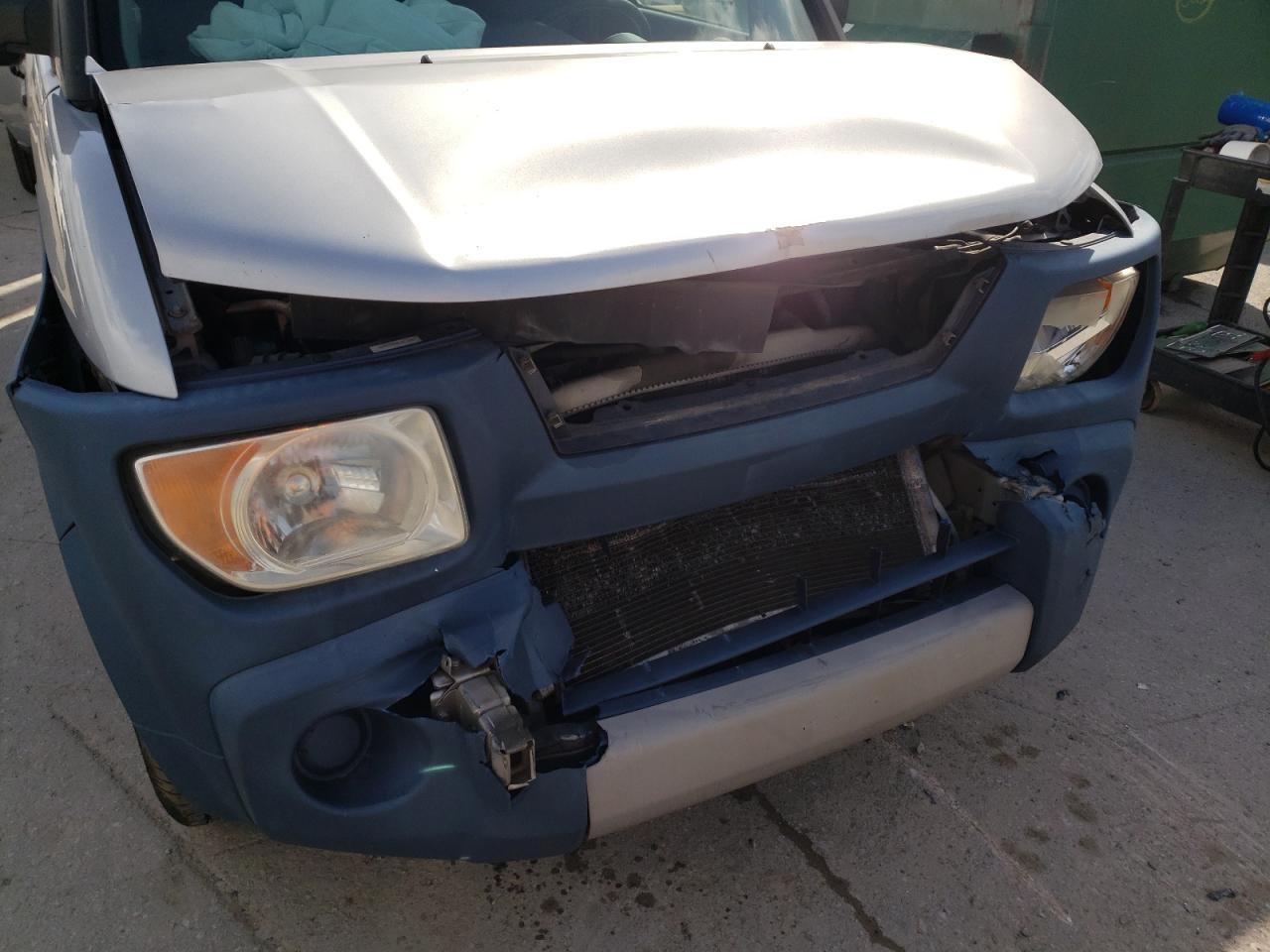 Photo 9 from auction – 2006 HONDA ELEMENT LX with VIN 5J6YH183X6L013100