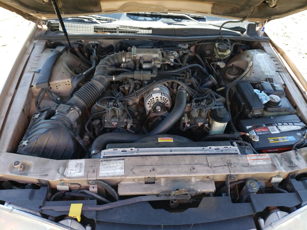 Photo 7 from auction – 1996 FORD THUNDERBIR with VIN 1FALP62W9TH171273
