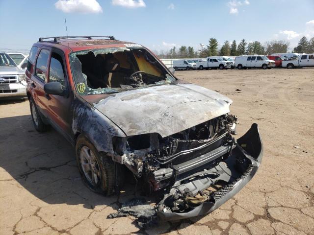 FORD ESCAPE XLT 2006 with VIN 1FMCU93Z96KA44992 - Photo from auction