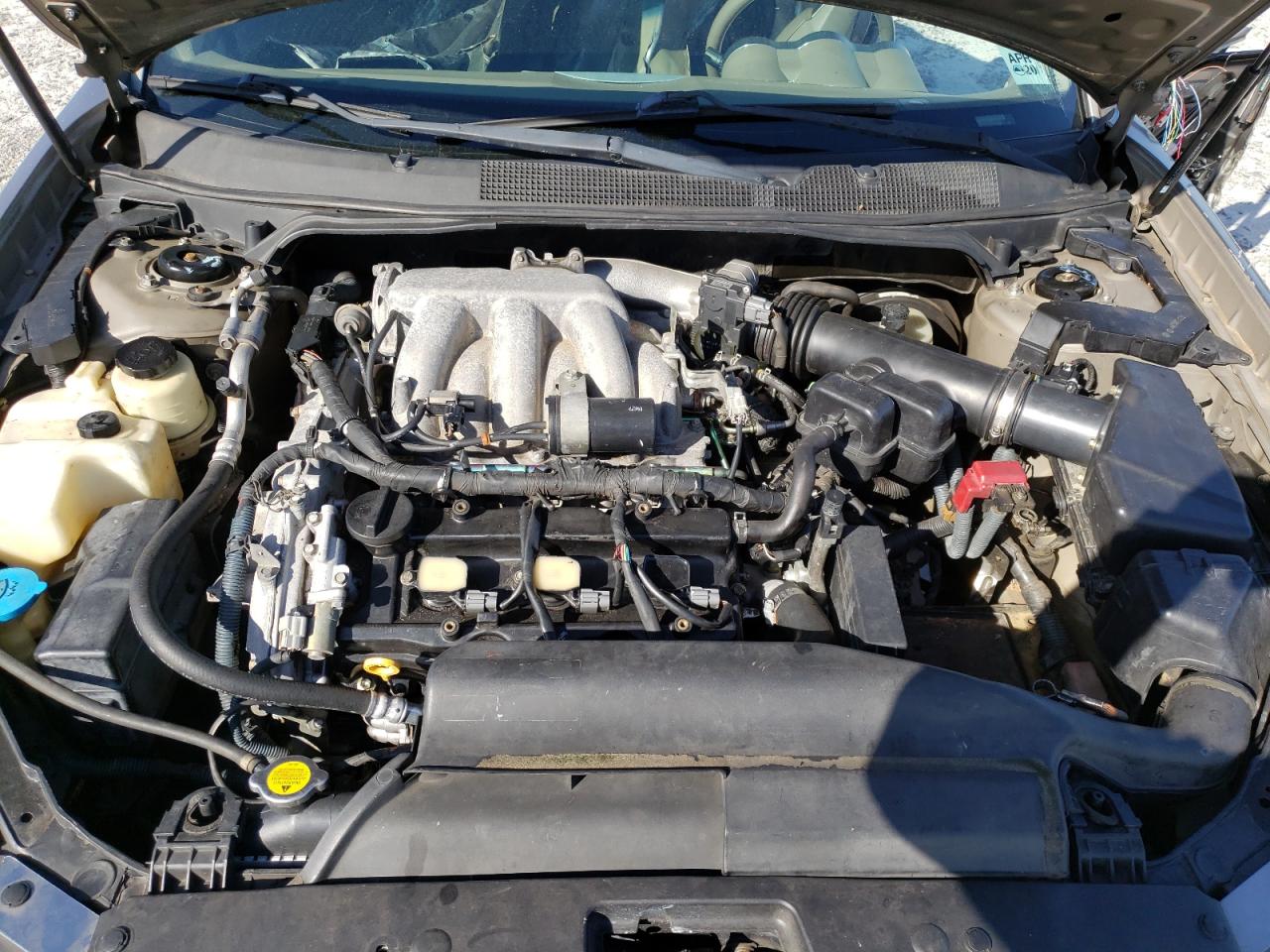 Photo 7 from auction – 2005 NISSAN MAXIMA SE with VIN 1N4BA41E35C828949