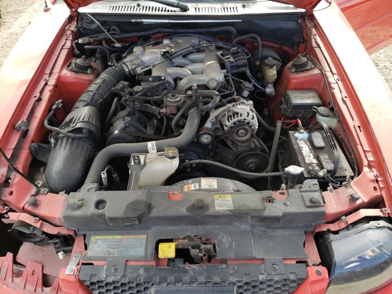 صورة رقم 7 من المزاد - 2001 FORD MUSTANG مع VIN 1FAFP44481F250973