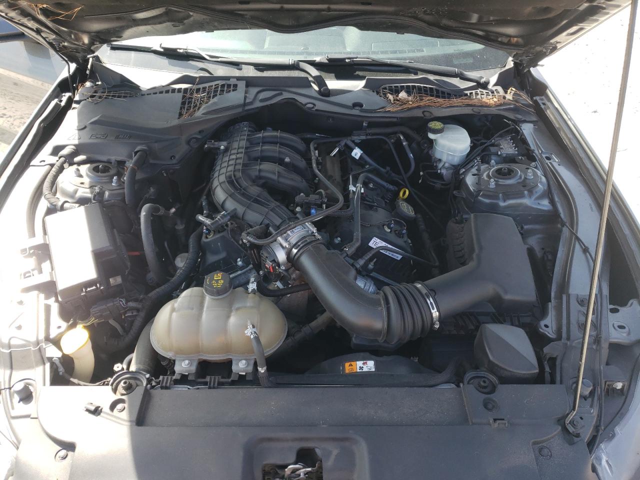 Photo 7 from auction – 2016 FORD MUSTANG with VIN 1FA6P8AM0G5206301