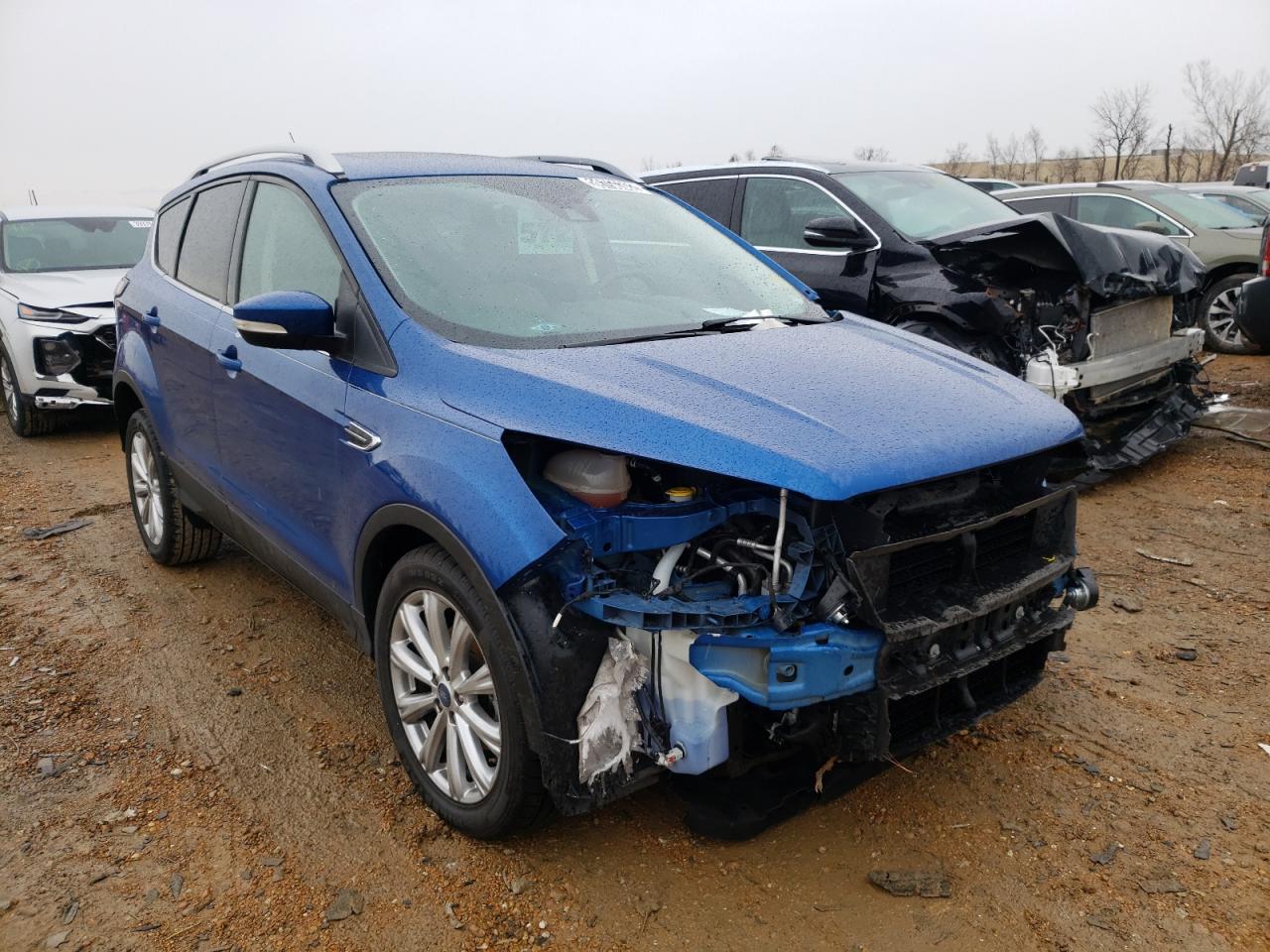 FORD ESCAPE TIT 2017 with VIN 1FMCU0JD0HUD06070 - Photo from auction