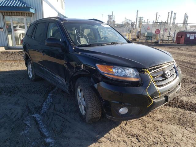 HYUNDAI SANTA FE G 2010 with VIN 5NMSGDAG9AH364426 - Photo from auction