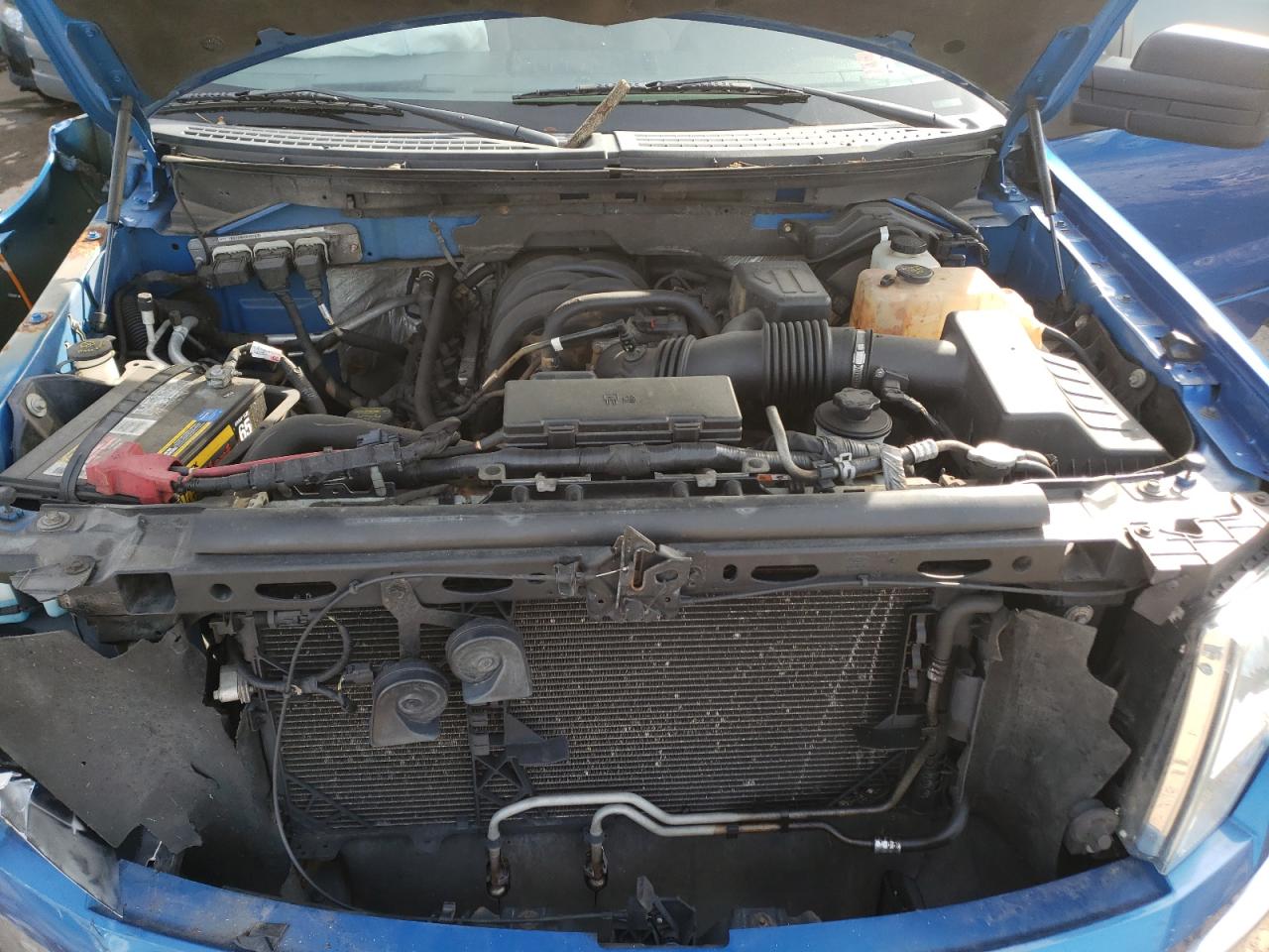 Photo 7 from auction – 2010 FORD F150 SUPER with VIN 1FTEW1E80AFB02504