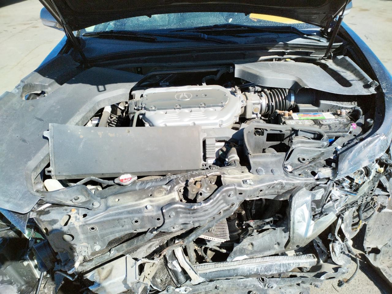 Photo 7 from auction – 2009 ACURA TL with VIN 19UUA96529A006221