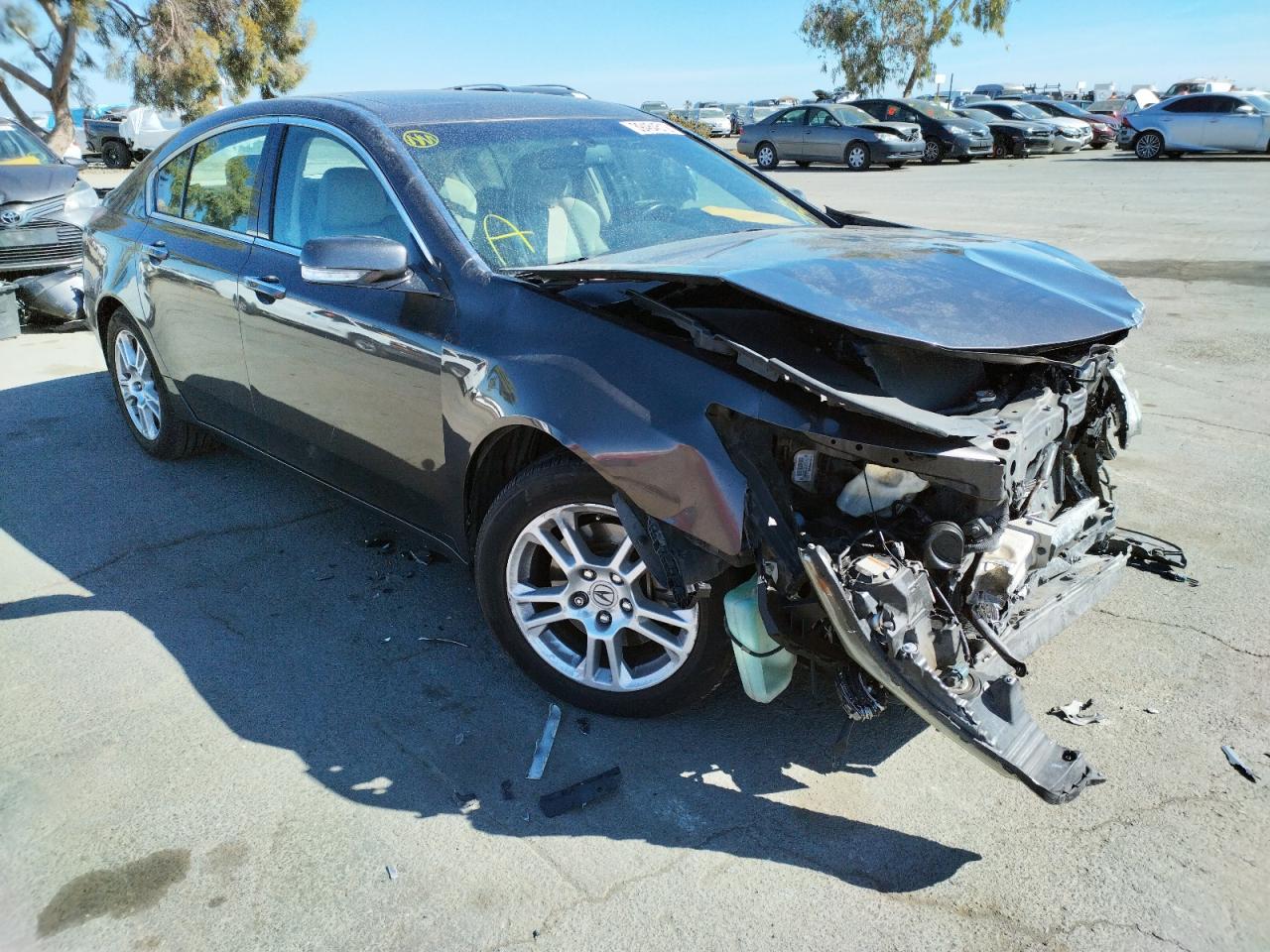Photo 1 from auction – 2009 ACURA TL with VIN 19UUA96529A006221