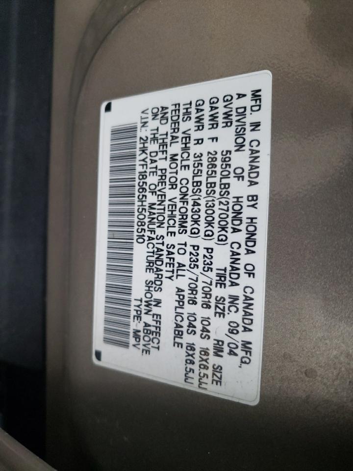 Photo 10 from auction – 2005 HONDA PILOT EXL with VIN 2HKYF18565H508510