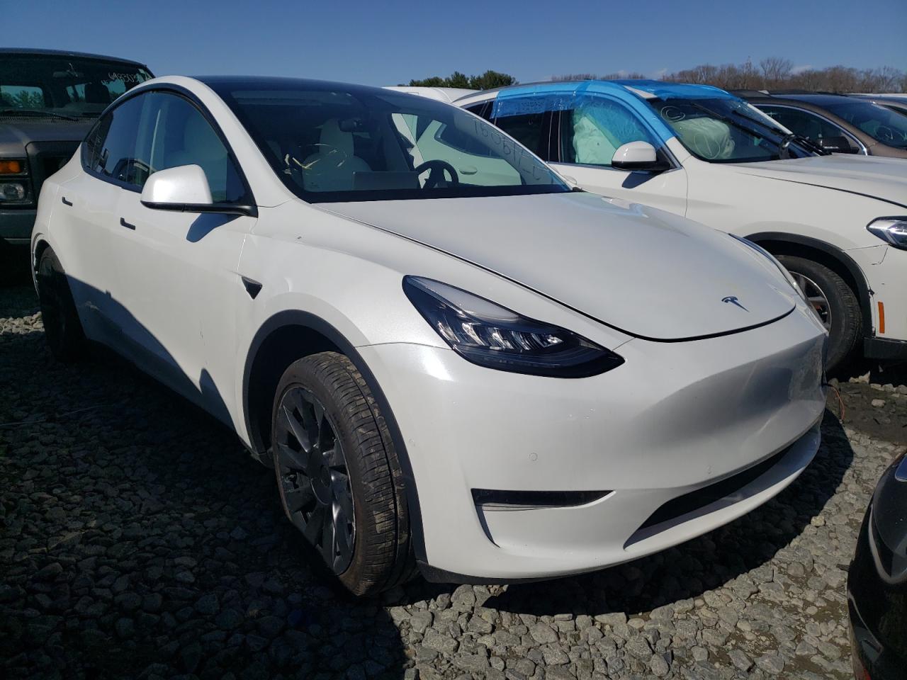 TESLA MODEL Y 2020 with VIN 5YJYGDEE8LF049219 - Photo from auction