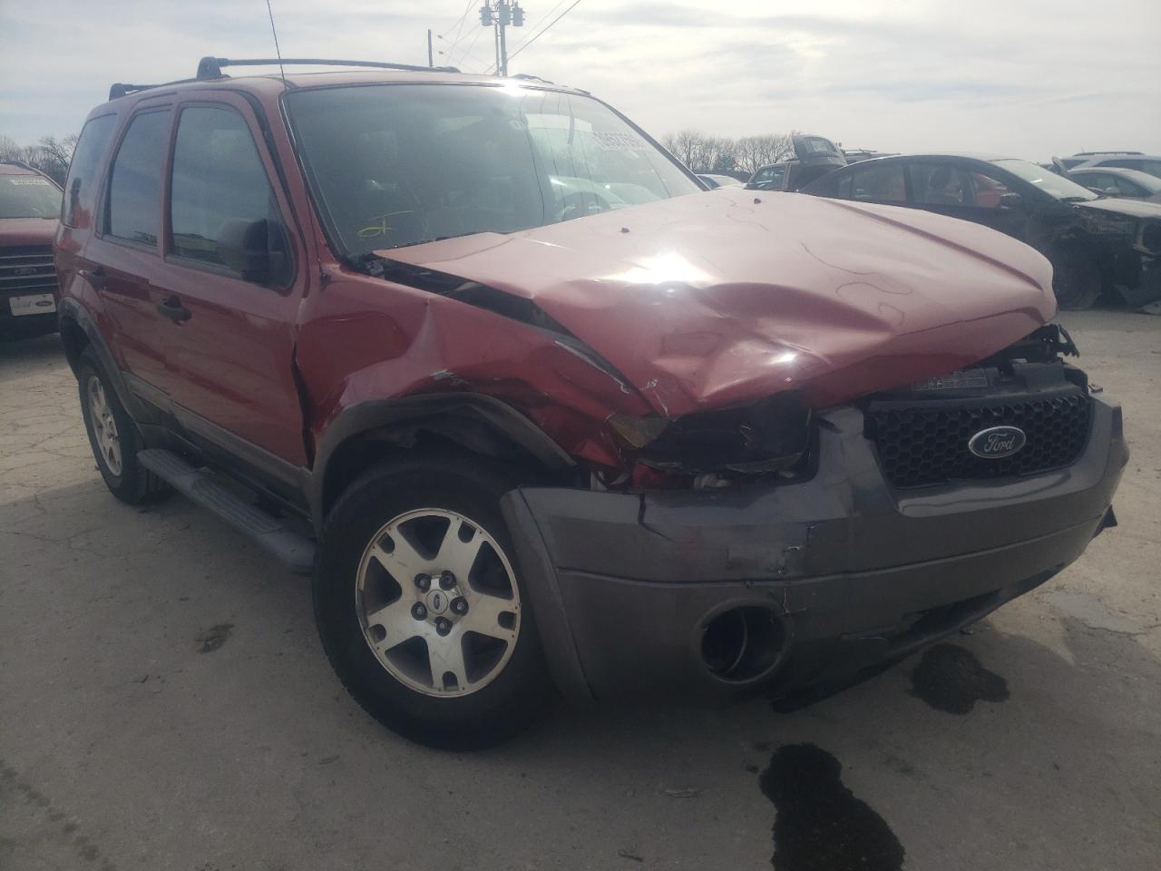 FORD ESCAPE XLT 2005 with VIN 1FMCU03115KE49233 - Photo from auction