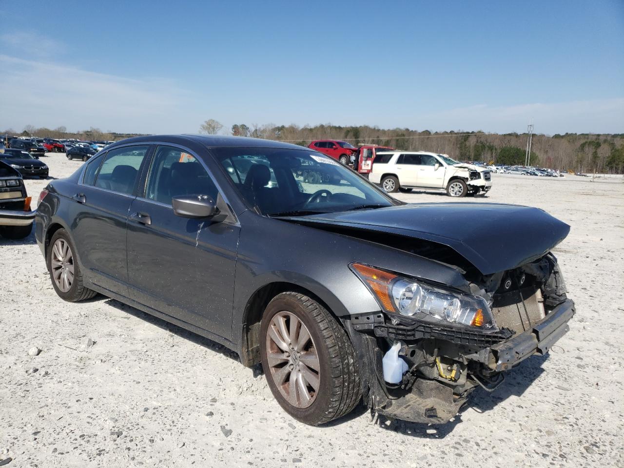 HONDA ACCORD EXL 2011 with VIN 1HGCP2F88BA155556 - Photo from auction
