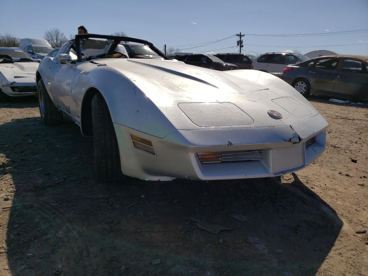 CHEVROLET CORVETTE 1981 with VIN 1G1AY8769BS405733 - Photo from auction